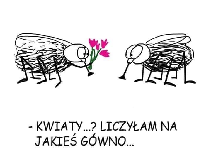 efc7e242-816c-485b-9346-b05c75778079