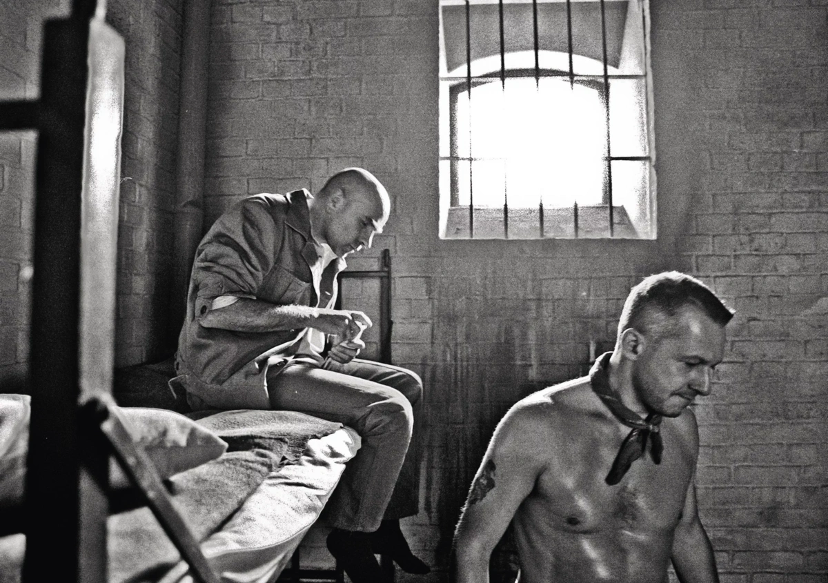 Historia Tadeusza Wencela, pierowzoru postaci Wyrka w Psach 2