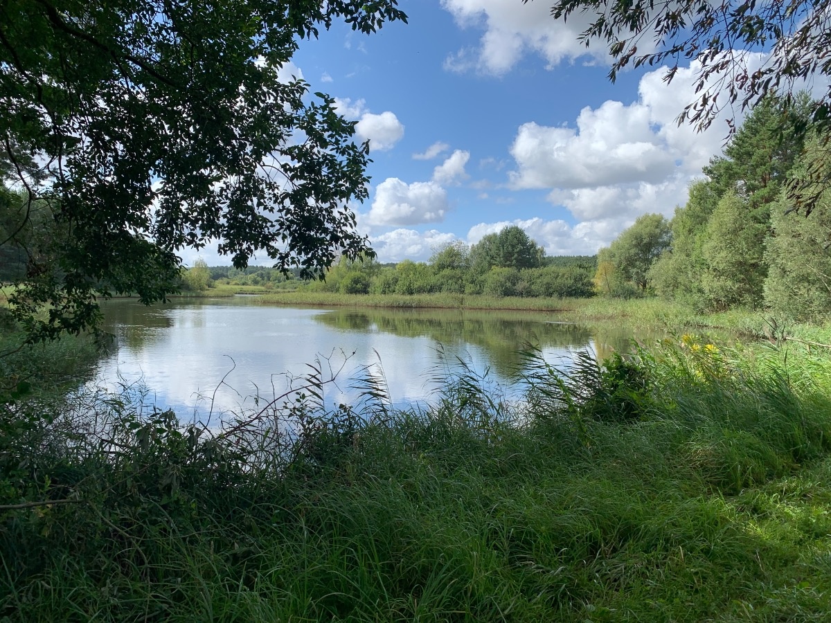 7740a136-e9da-4807-9fd4-3460718d6def