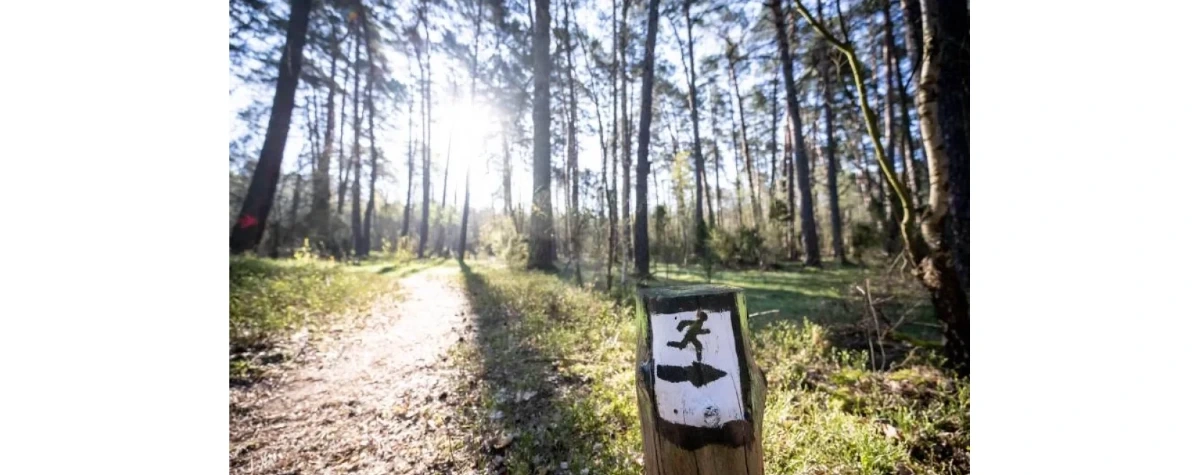 Dwa nowe rezerwaty przyrody powstały na terenie województwa świętokrzyskiego