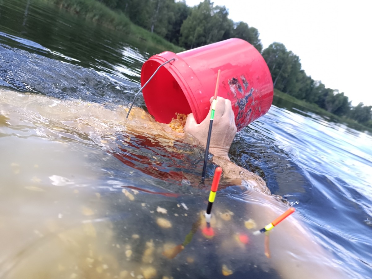 543302e6-72a0-47f6-a151-2e3a1cc6f9ad