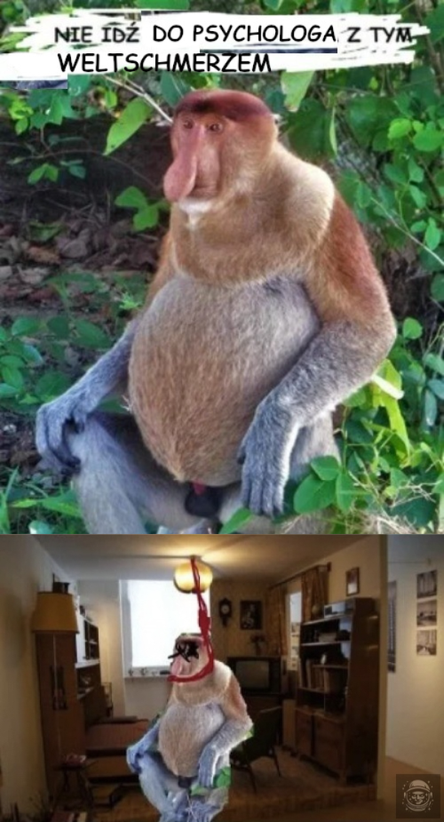 d6b649e3-2ad9-46bc-ab12-40e0cca38fd9