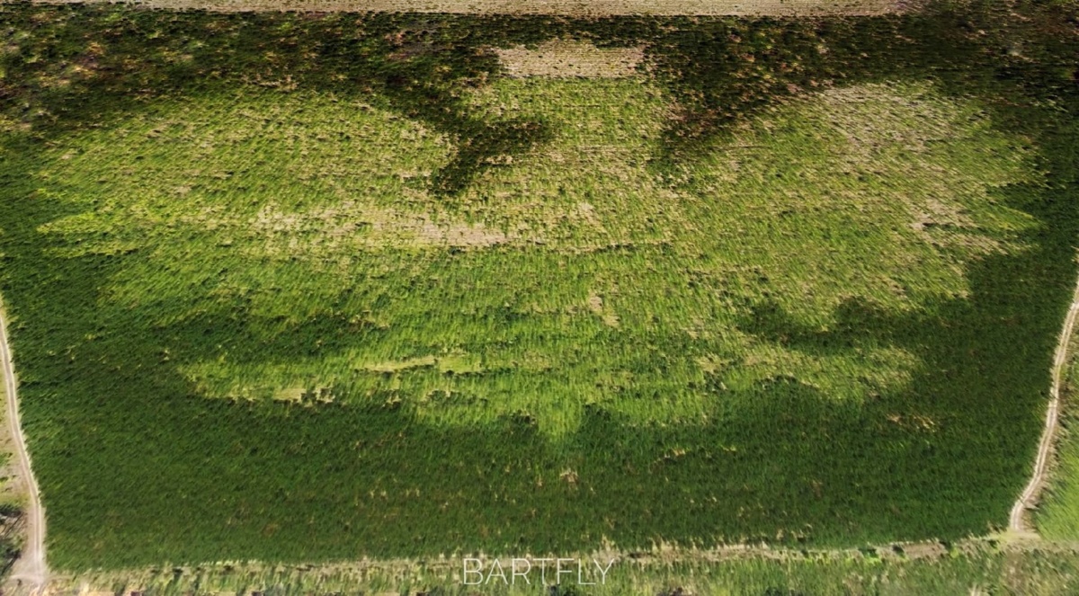 4b90562d-8257-4710-97f9-ead894f63f37