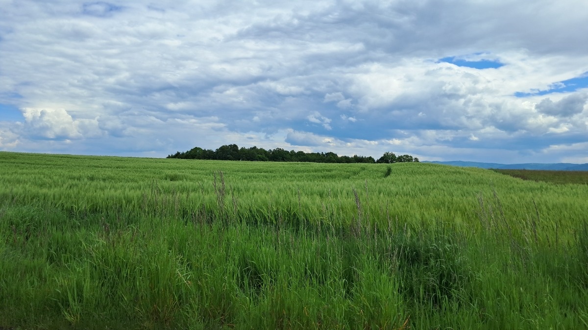 48c05c36-7e26-468b-884e-181667dc05f0