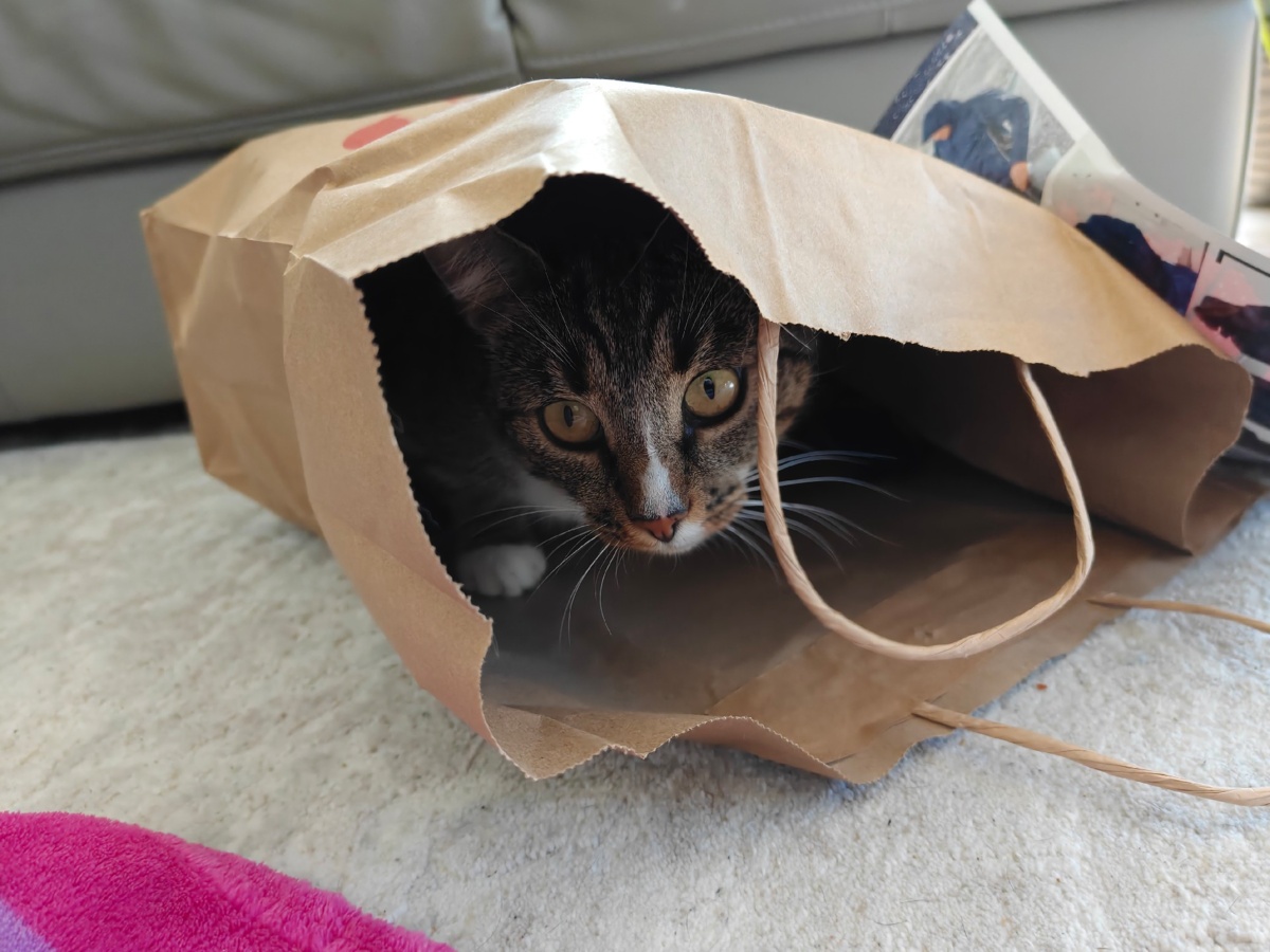 196243dd-3241-44f6-8f3b-d99d93326516