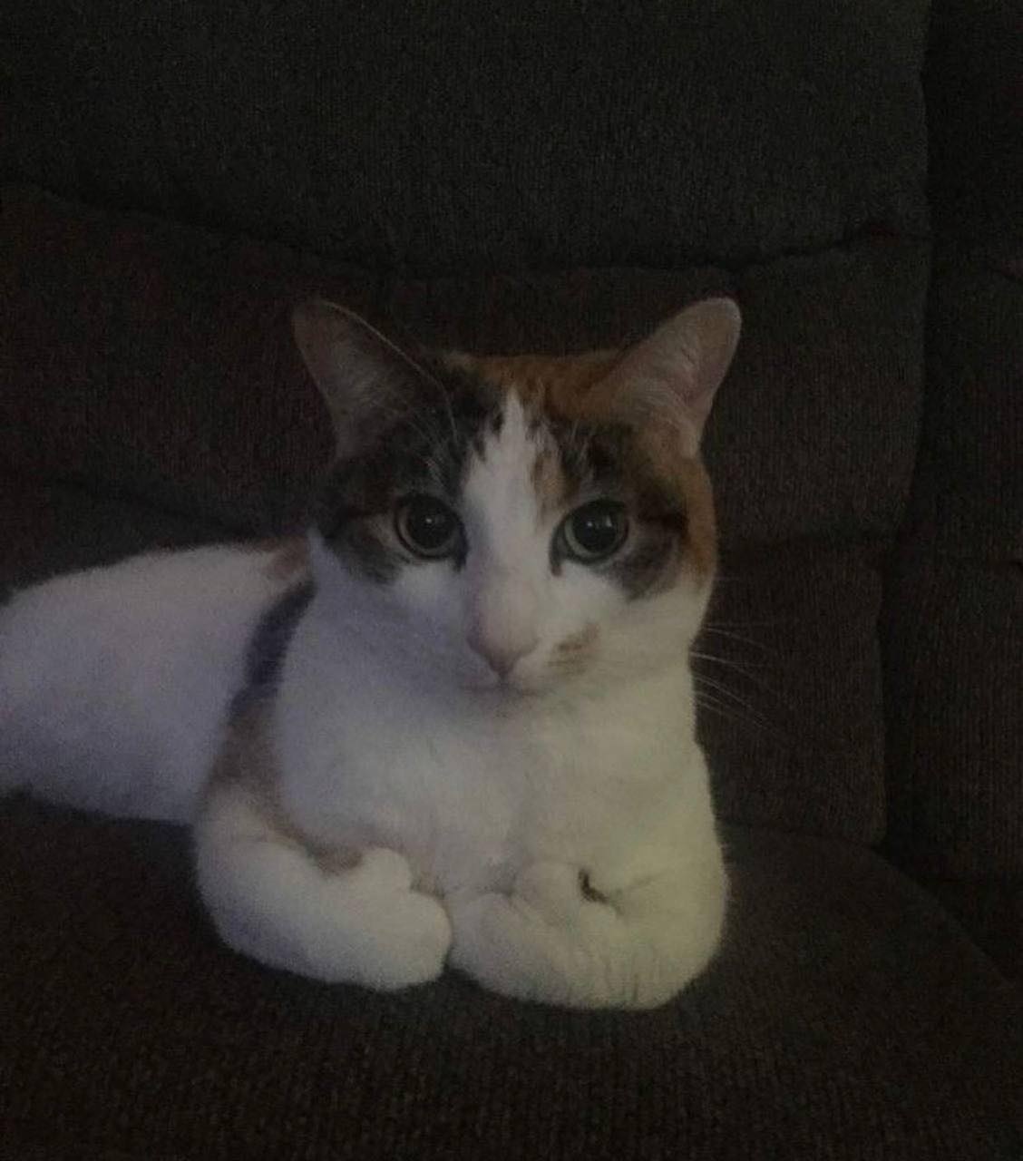 ff98d216-6aee-45f6-9ecf-3101a049a952