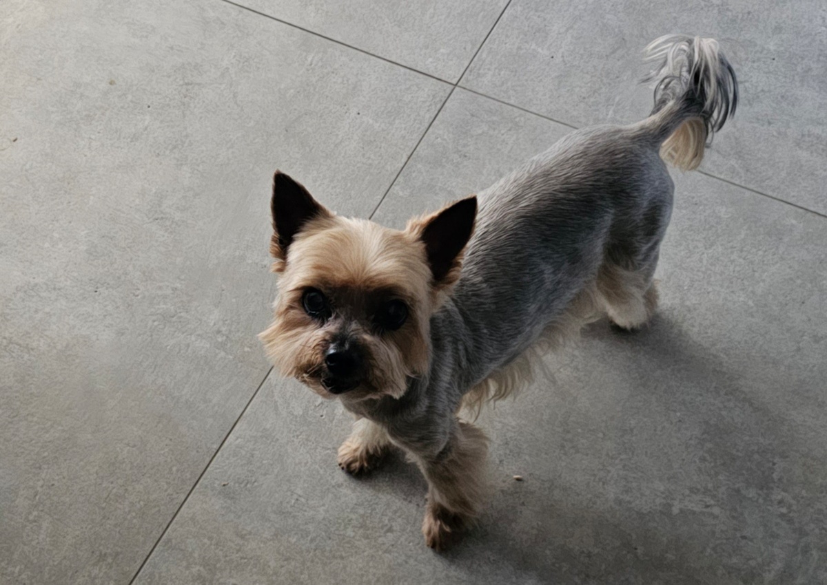 81fb1d6c-1d6c-4dc6-af2d-0977fd2c2ebf