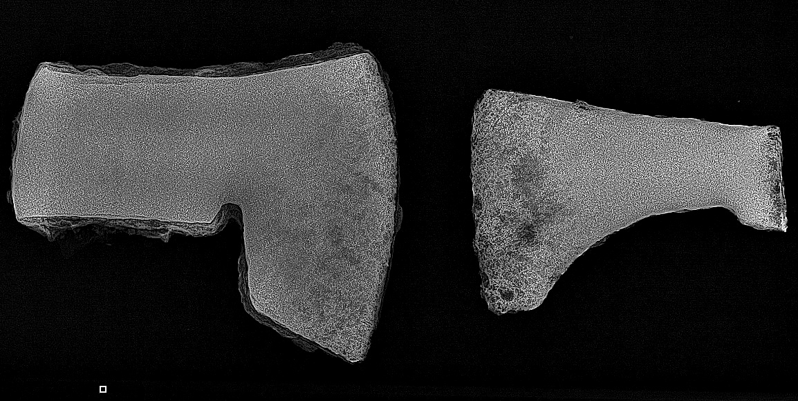 Sensacyjne odkrycie! Miecz dwuręczny i topory z przeszłości – archeologiczne skarby z powiatu nowomiejskiego