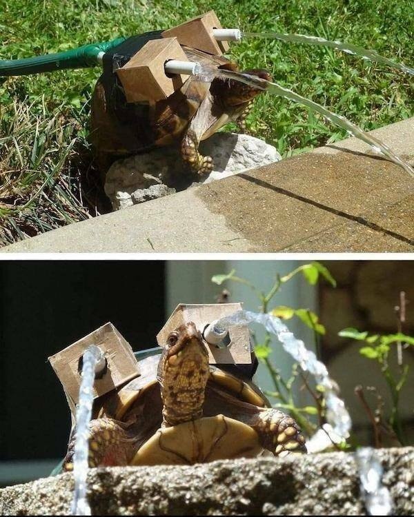 2639a8d9-78b4-458a-89f3-d521f97ff40d