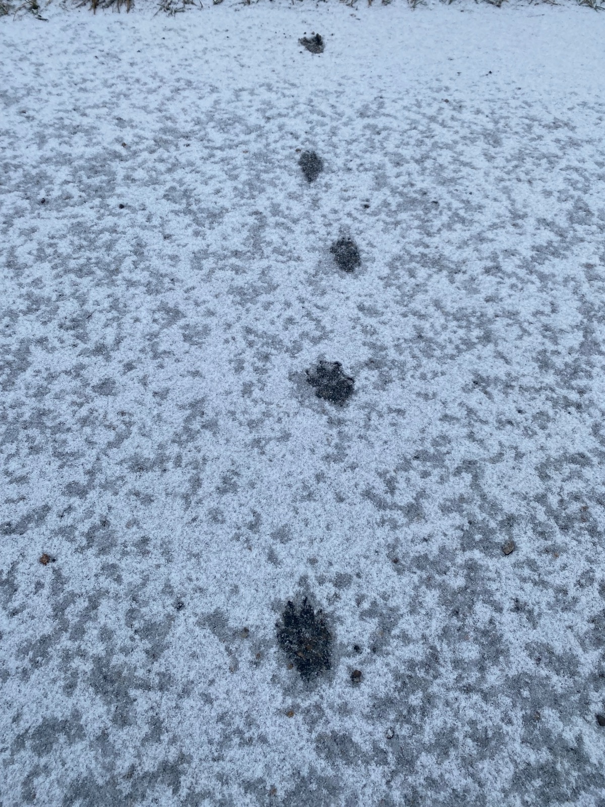 2334a84c-73f0-4957-b595-efcf3a9fac9a