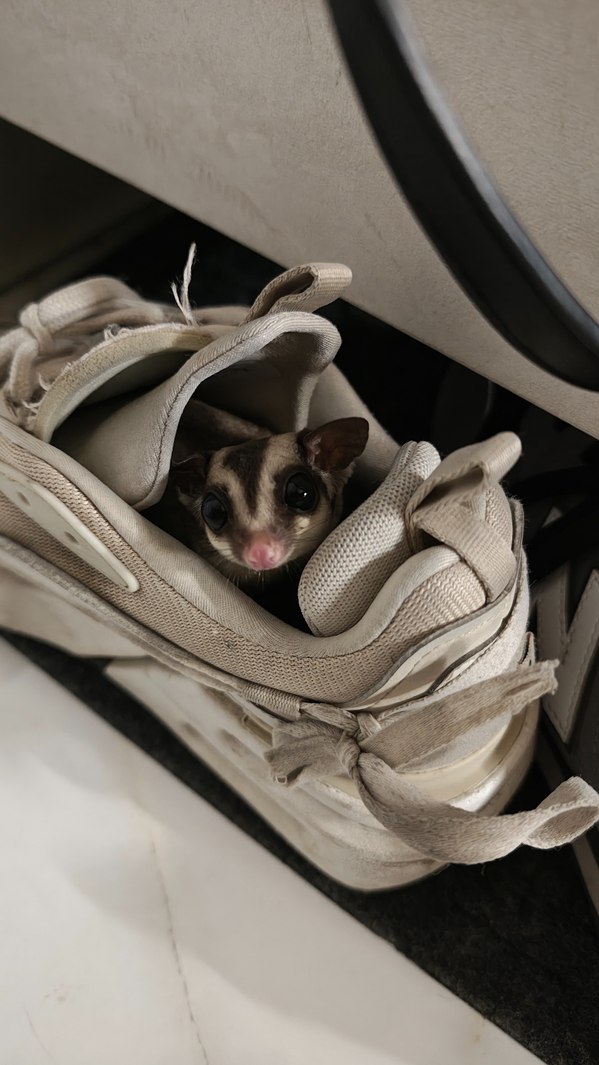 c80e9644-0f36-4e89-9f77-a5e77bf9f1b2