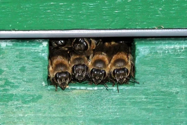 96b3dc84-072d-41be-a161-575752c83346