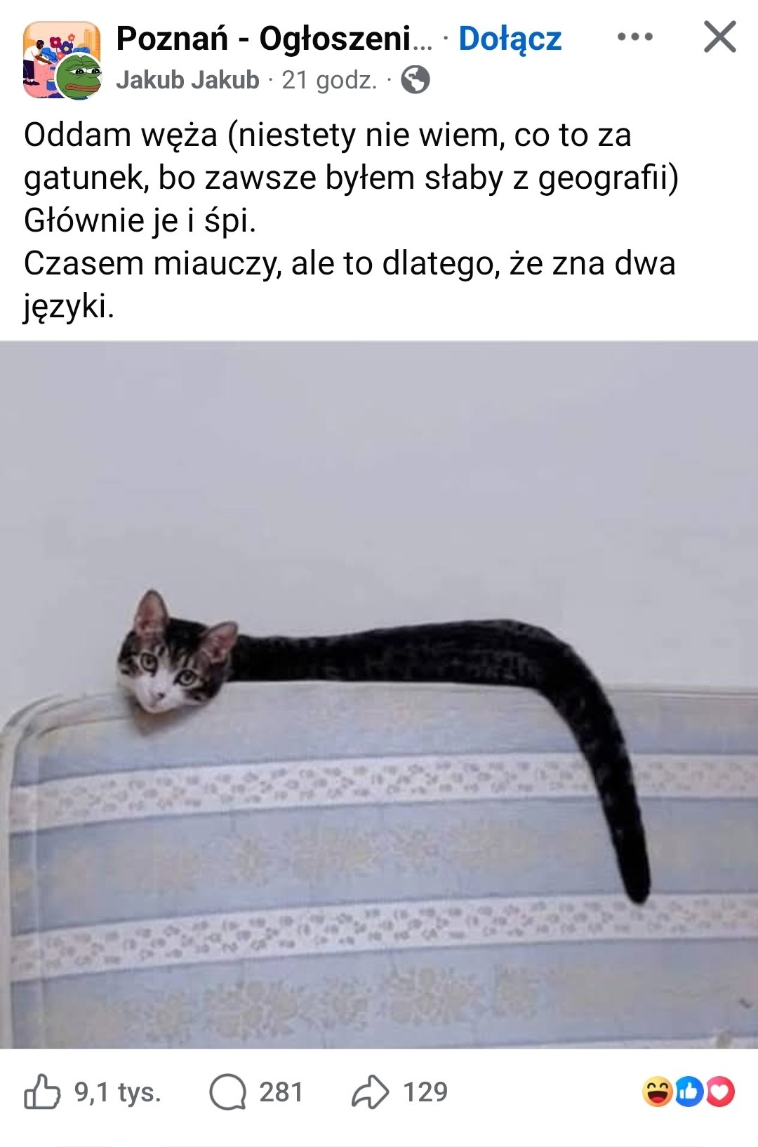 0b9c80f1-e0c2-490d-9932-4986f2161a00