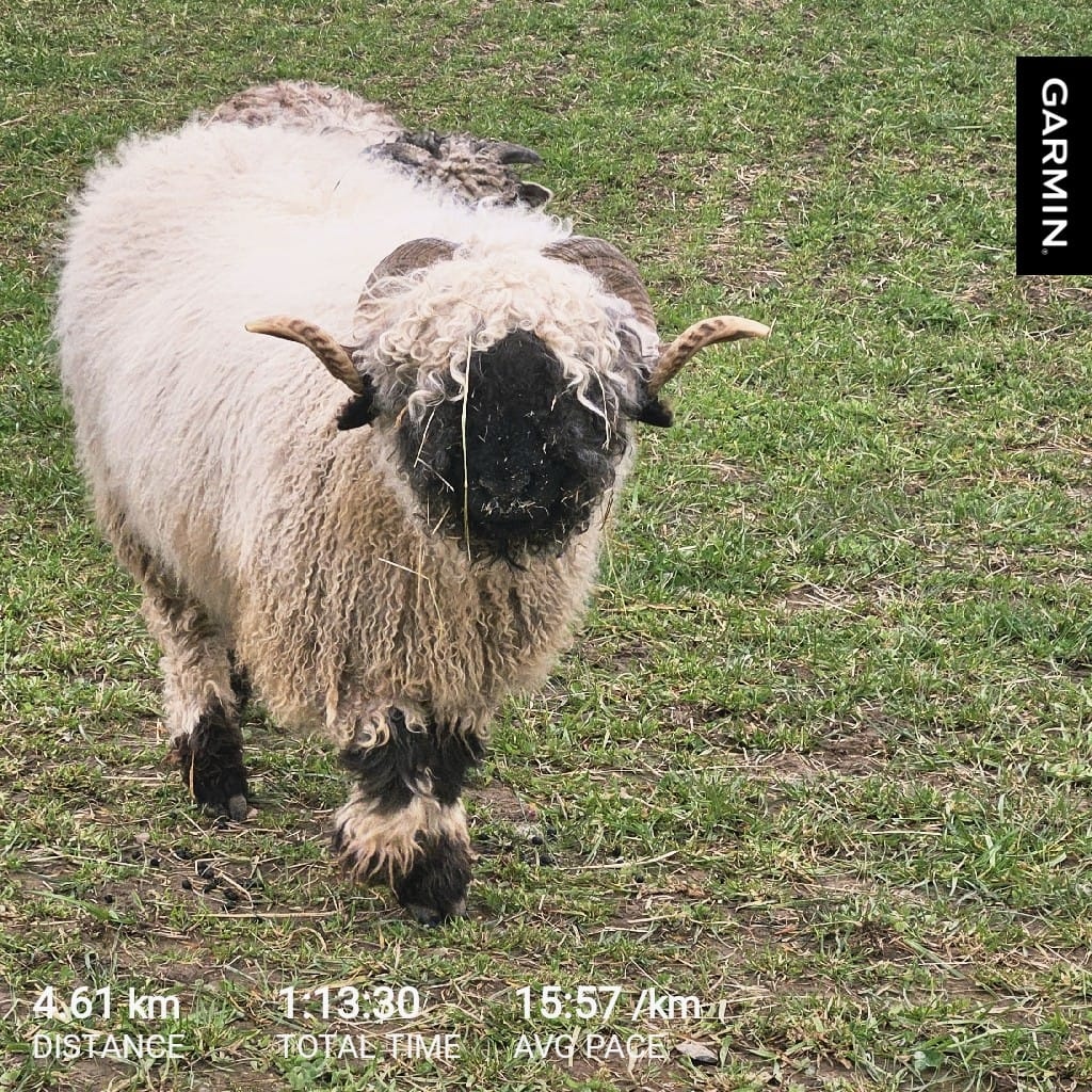 992c2577-535b-4c72-a7bd-b329df92b707