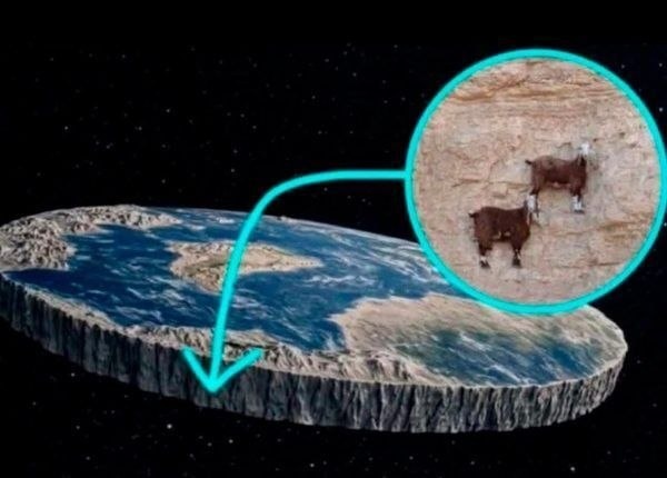 0f960ddb-a74d-4a58-bb53-fca19c560c7b