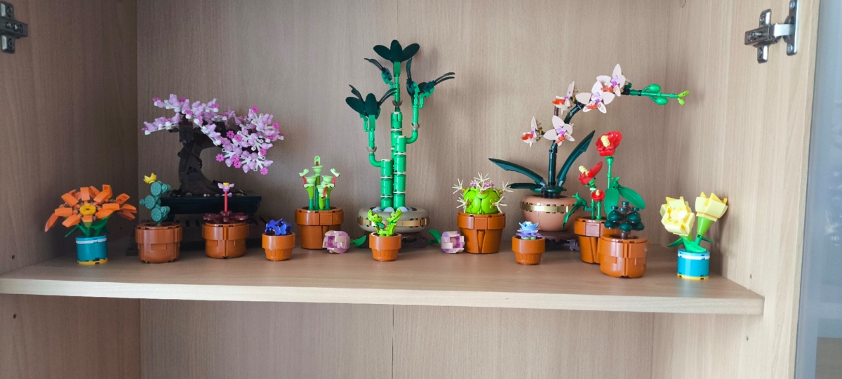 8db271ae-ff12-4f3b-ac02-2097aecaf541