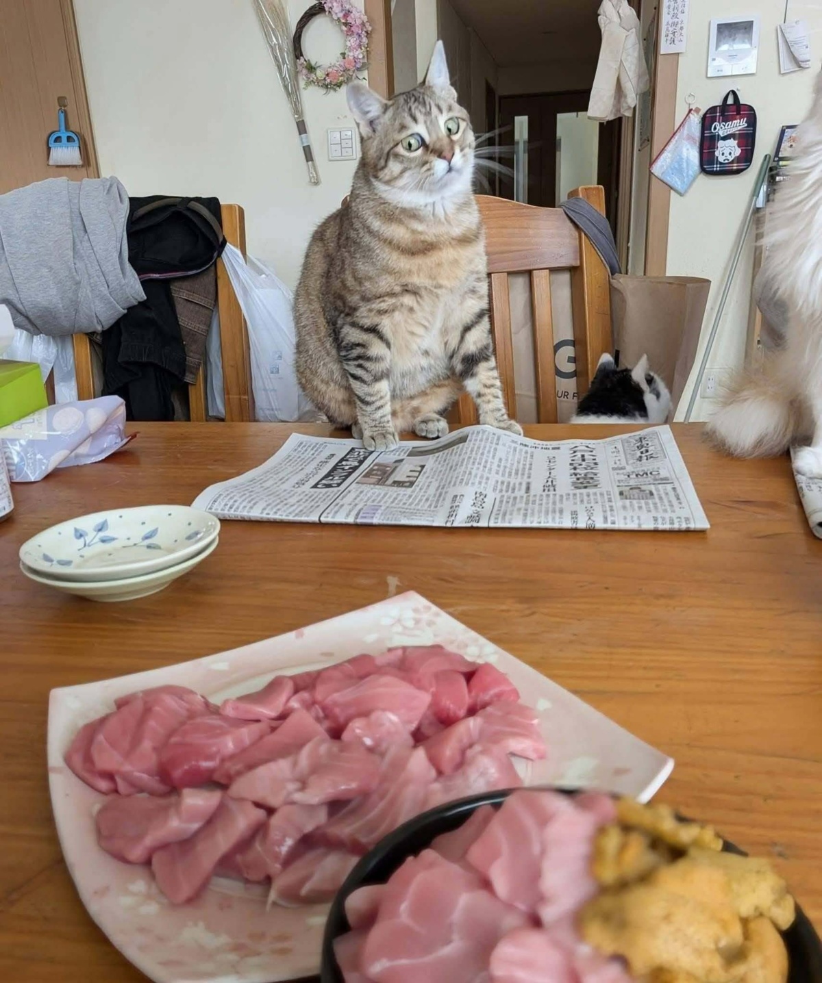 ee169527-86e3-44a6-9391-5bf214ef9fce