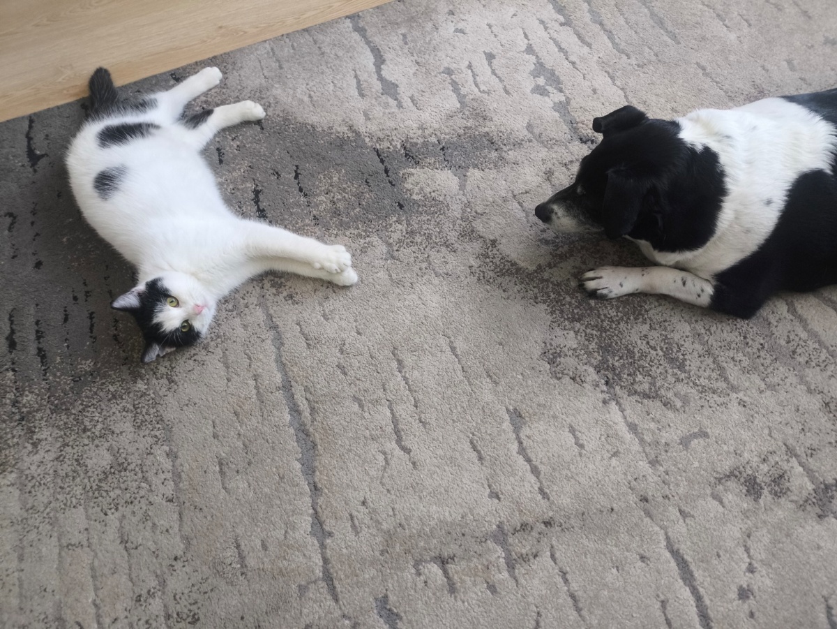 9841778e-4ed4-4999-a7fe-8b90cf2bb47e