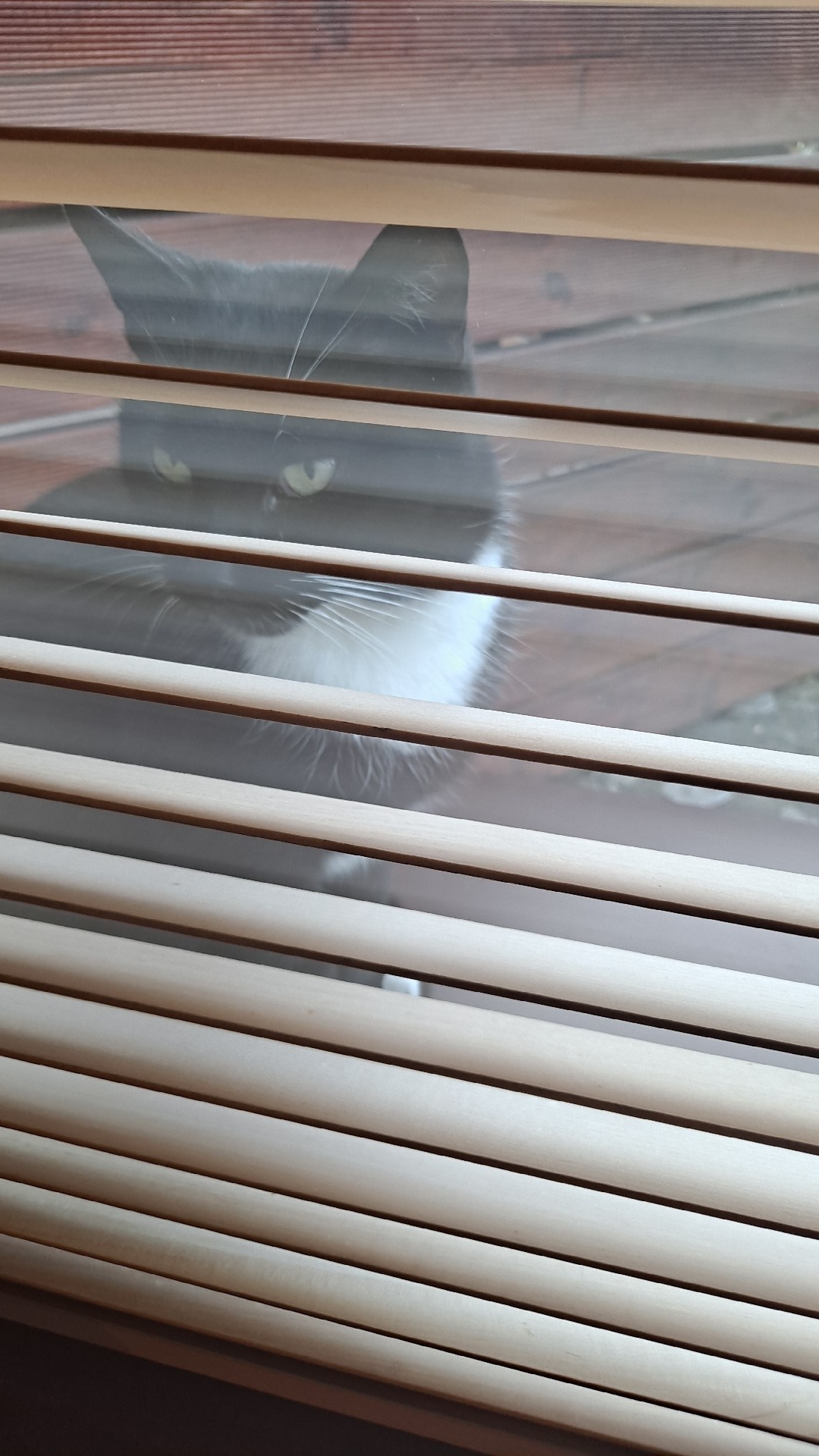 7d1e0e64-705b-4889-80b4-8884f13795ff