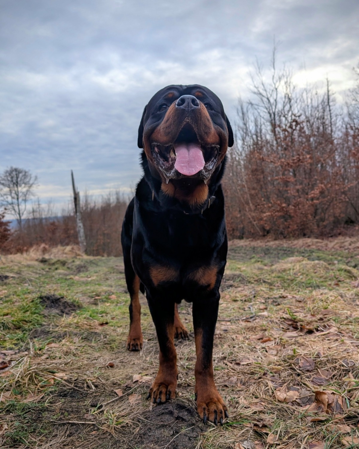 96778257-0864-45d0-9e11-8c782f045908