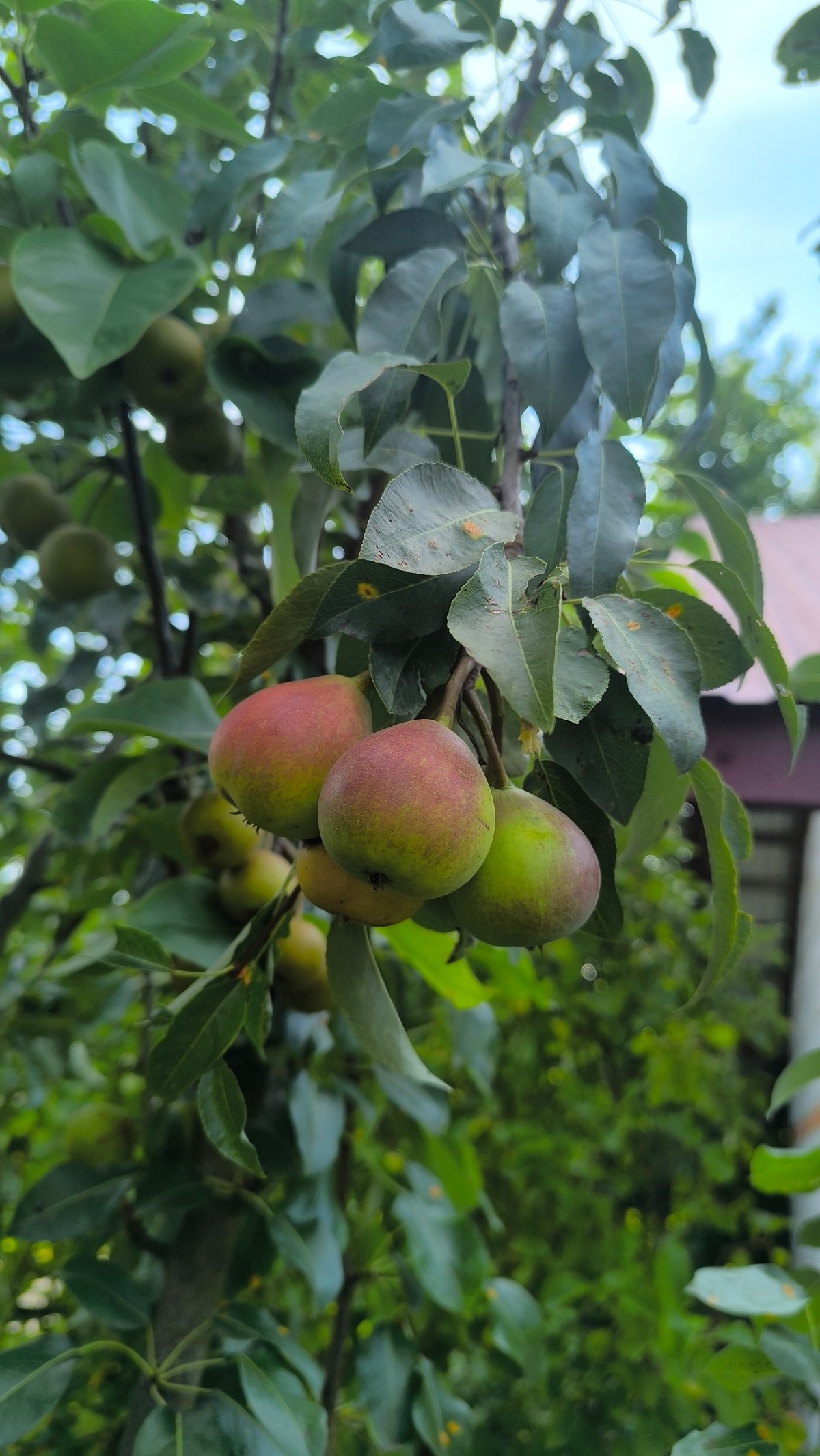 9d7c6664-b551-473c-a272-4b619995f4de