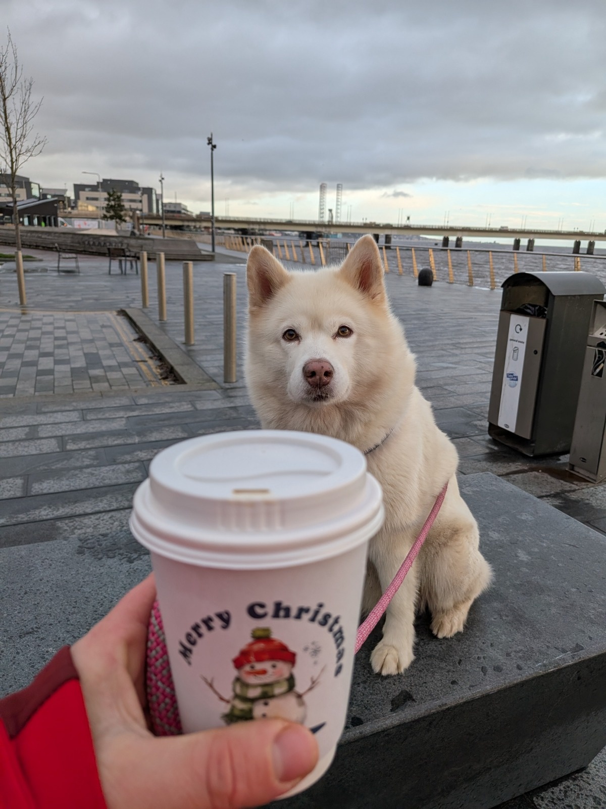 cd7e24e7-90af-44c8-9e3e-9c3c41e9557b