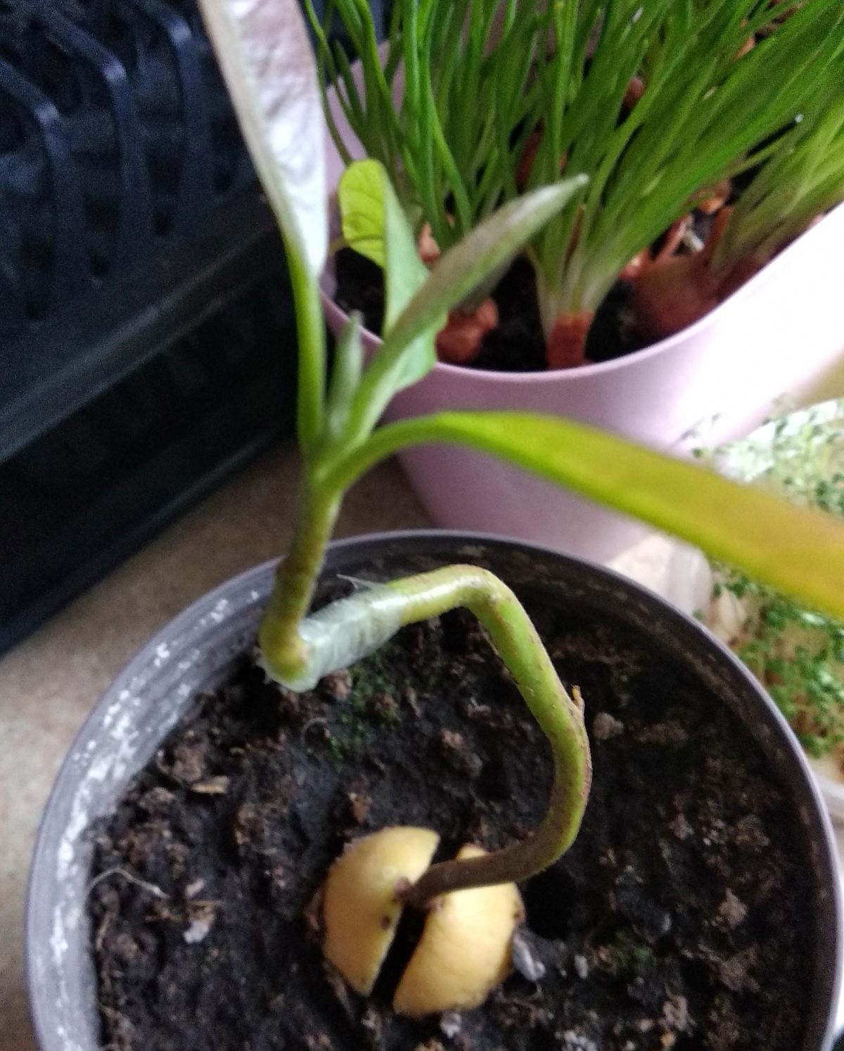 be3c0ad7-5eae-4b15-ad13-a8fedc5dd703