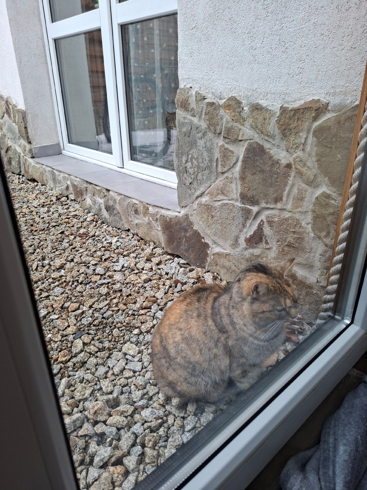 09c1f59d-2694-4245-b9a5-05e86058291c