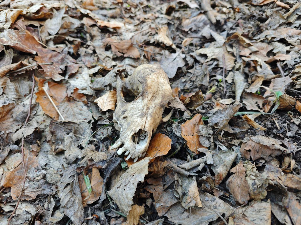 0ec81eba-63cc-4cb7-8038-d521963ac9e5