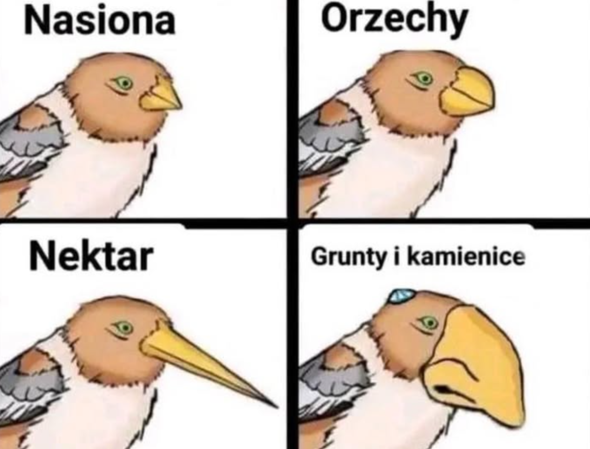 01d1d335-5549-4440-9477-685a4f8609a7