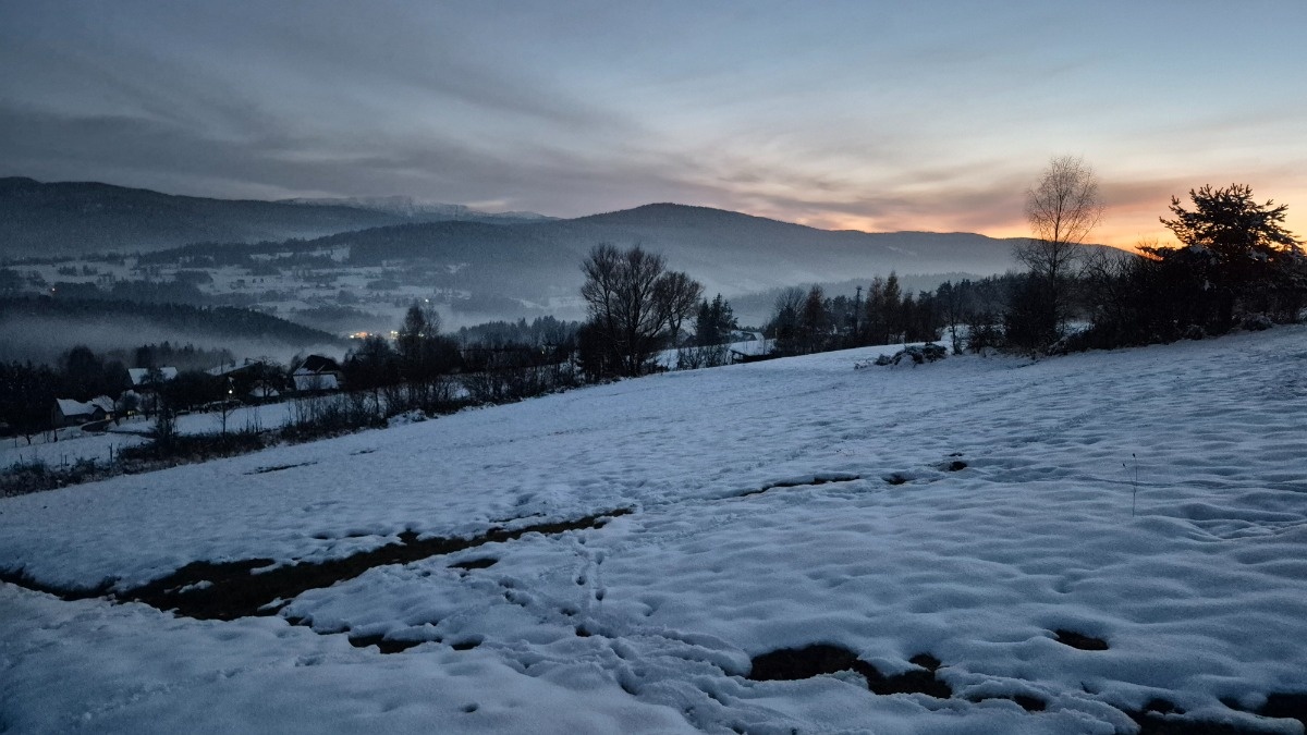 13393cdb-08bf-44f2-bdfe-5af054d36b0d