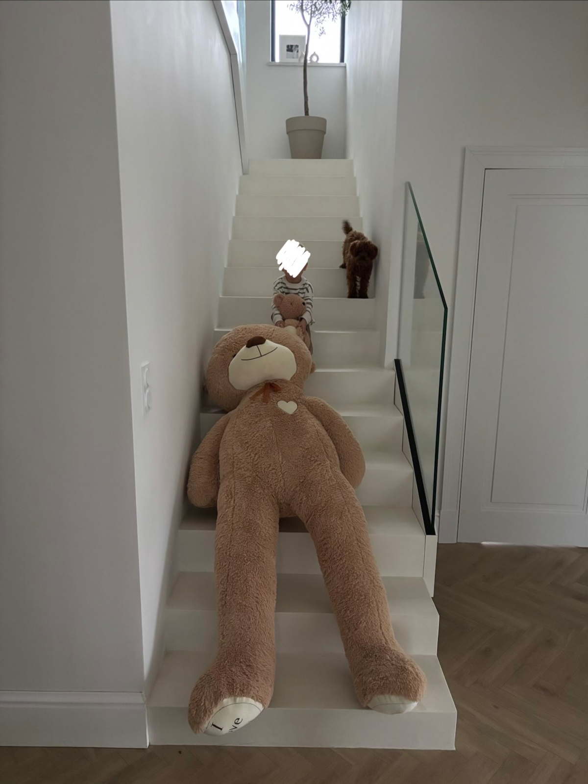 ac986d5b-ffe6-4188-890c-ca011d0a2495