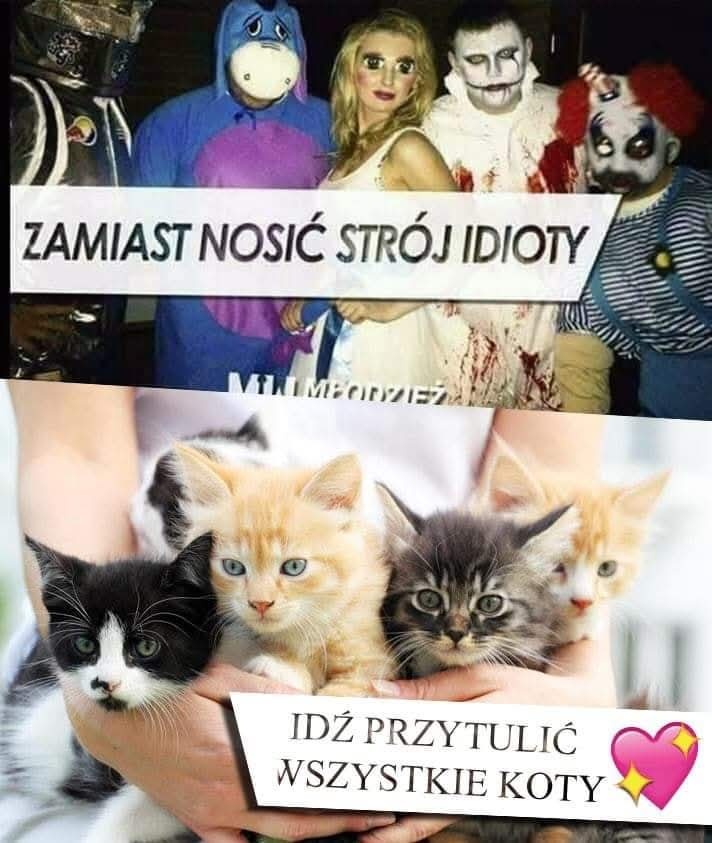 cccf1cb9-21c1-47fa-9742-c5d127f57efd