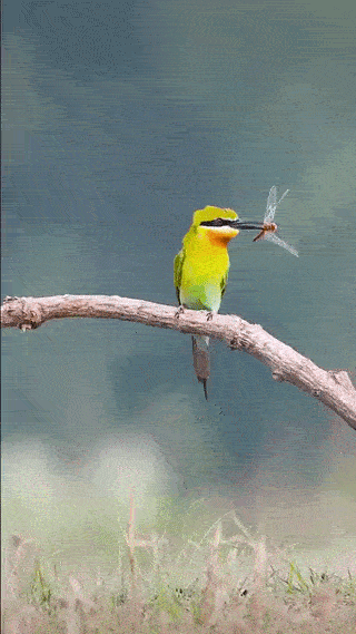 4eb43246-e8bb-4359-a31c-0b9a0b4343c7