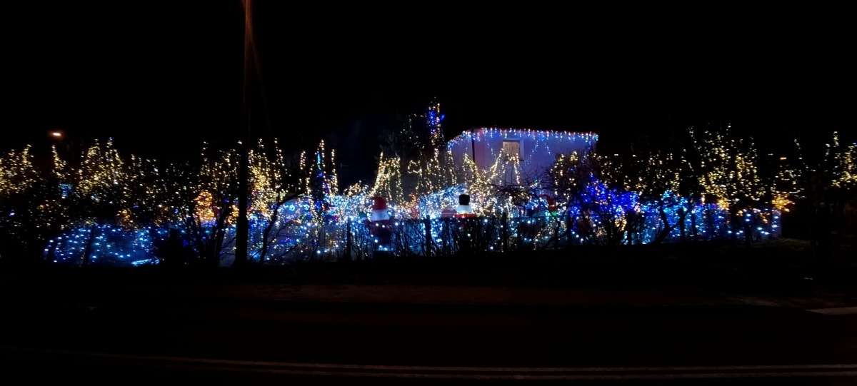 343db9f7-97f2-4051-865a-04240a12bb08