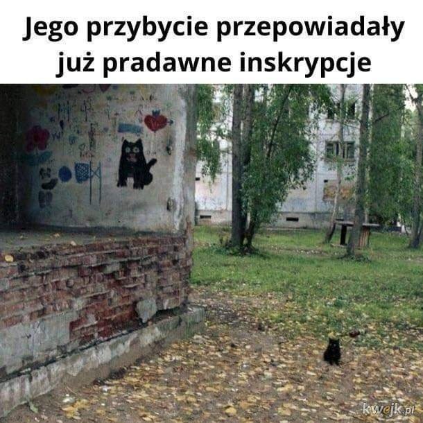 1478da19-8b64-41db-a71e-53e628118983