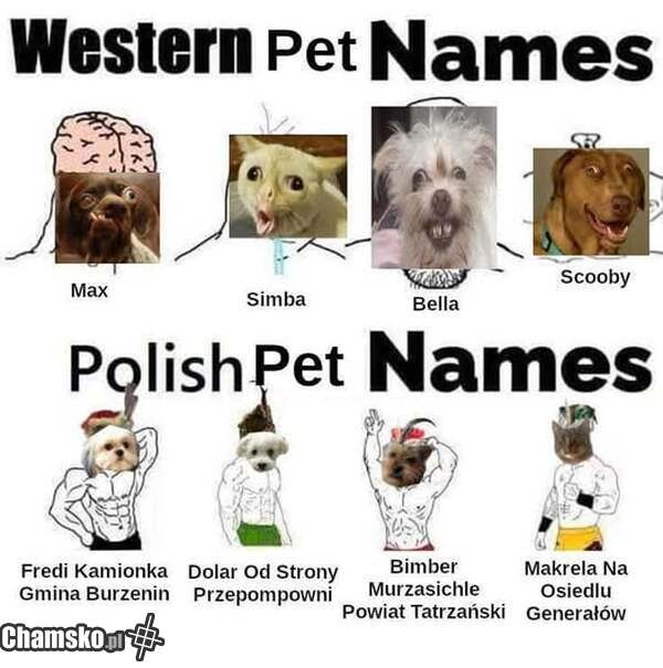 f3ad85ae-eb41-42c3-89e3-8328270e07ab