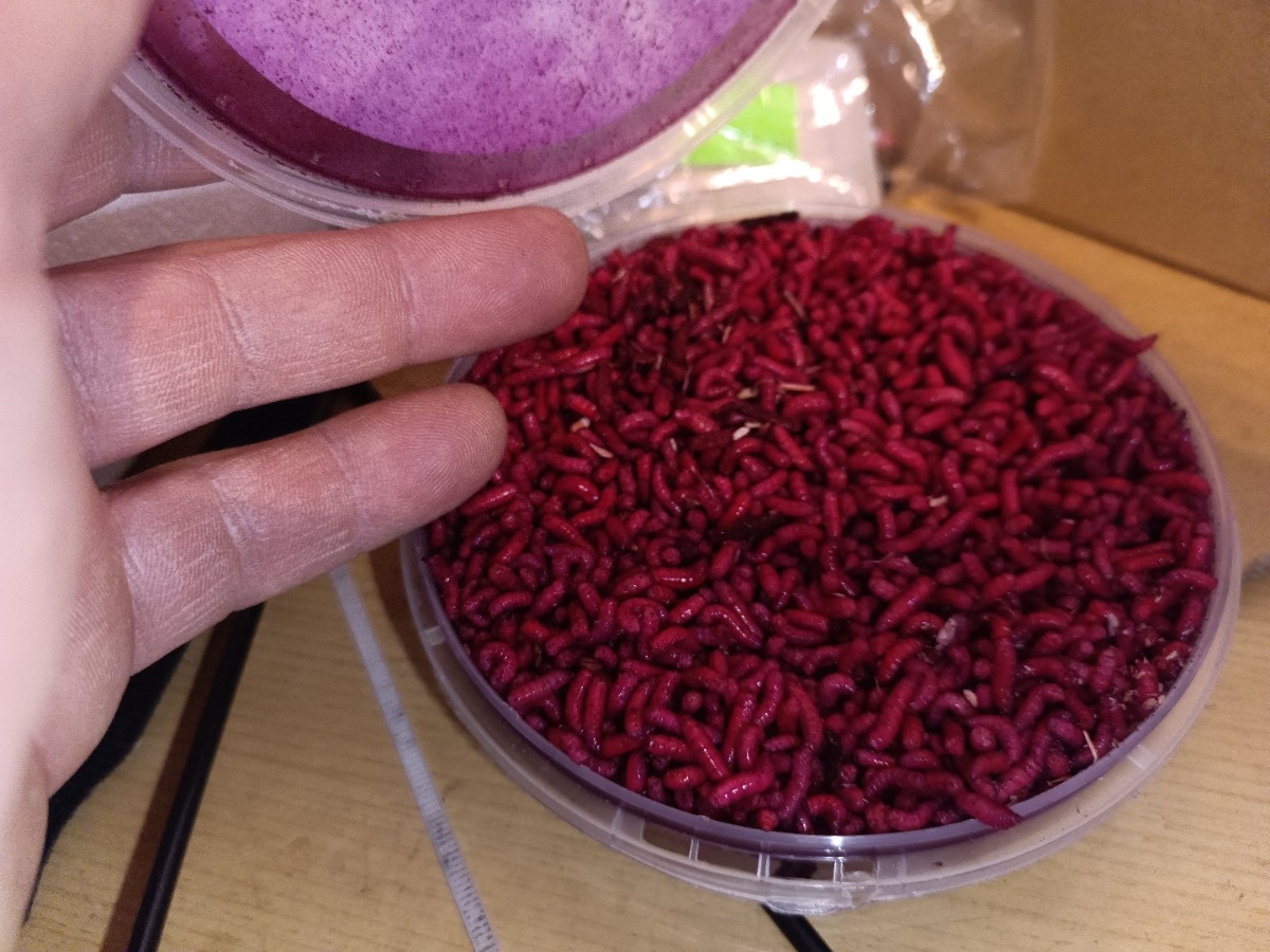 8e27dbd7-2818-4463-9590-dd0e34b56f0a