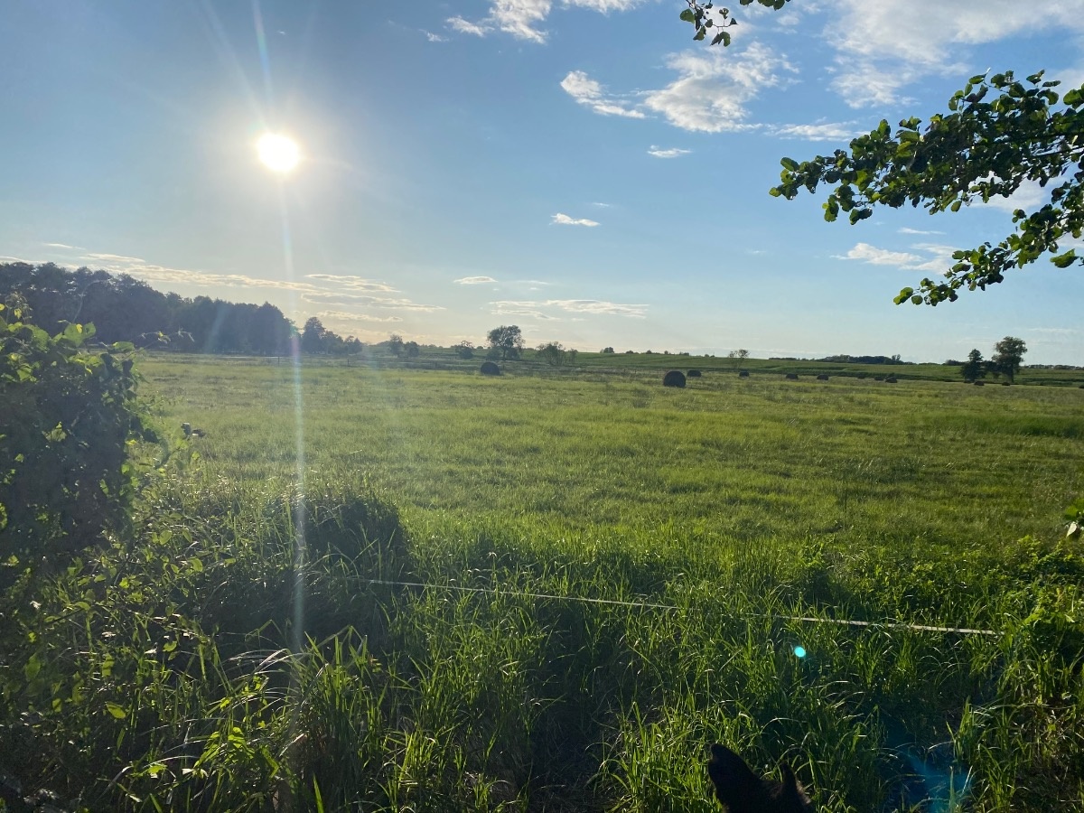 ea0eb89b-cc49-467d-a7d9-01eea0d8e733