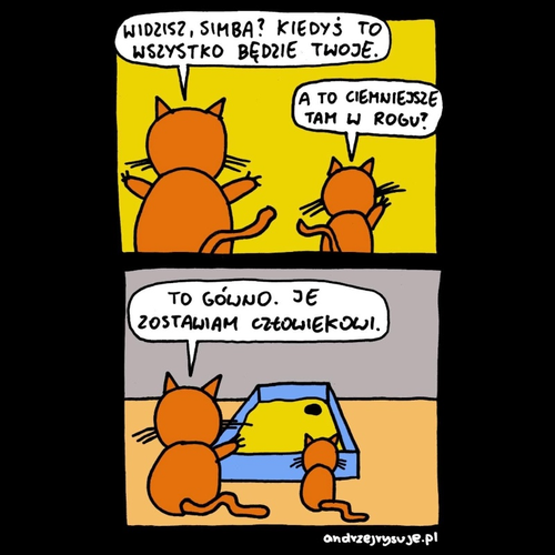 572f9ad5-e627-44a6-8e2b-e20f5a803c93