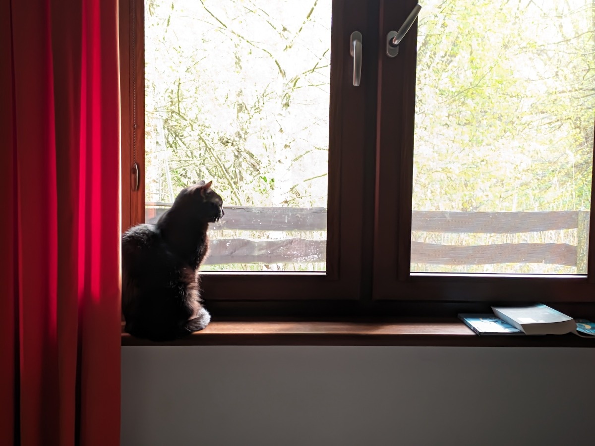 4d5cb6ba-38d4-4f5b-a9f3-a8dbf302d7ea