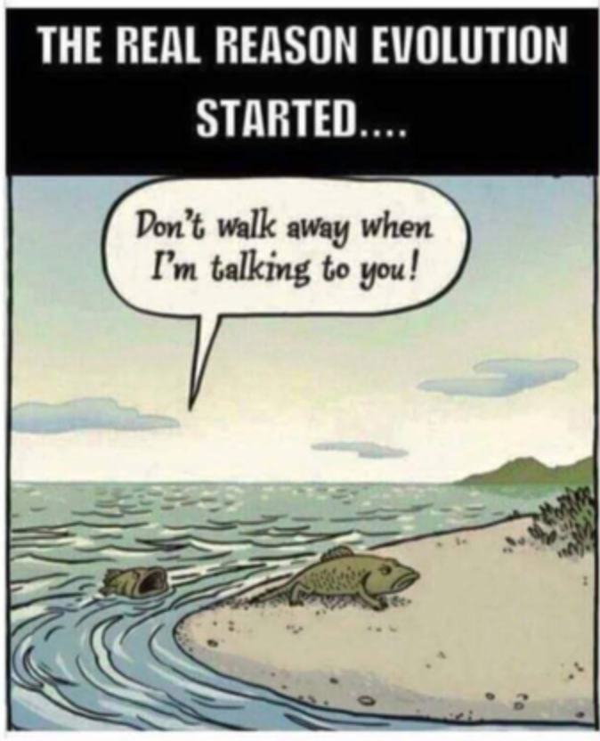 bea50806-57bb-421b-b988-8ab4bc612b83