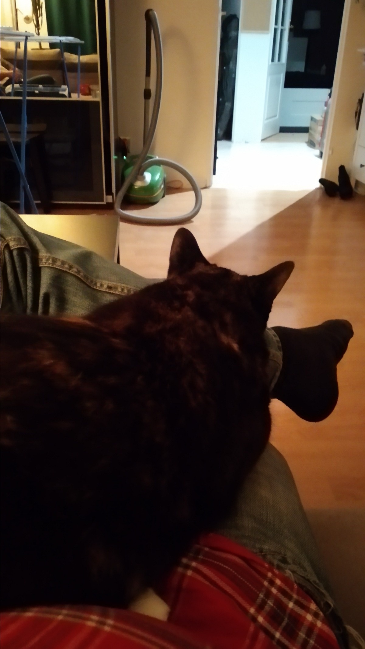 3c65705c-0afe-4804-872b-c151de3ef519