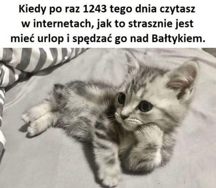 c74d7e66-ac93-4f46-8af6-d1ae11e8ec33