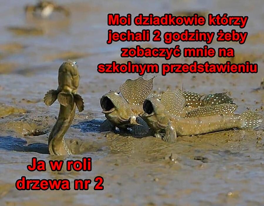 b4f91677-29d2-4057-b582-358c4e61c0ba