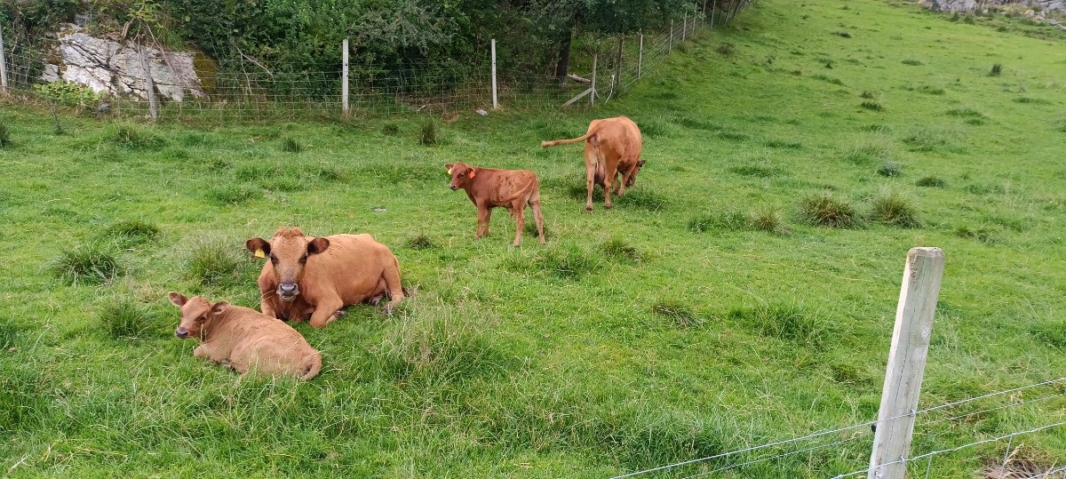 2d17421d-a7a5-467a-b187-a99973604bbe