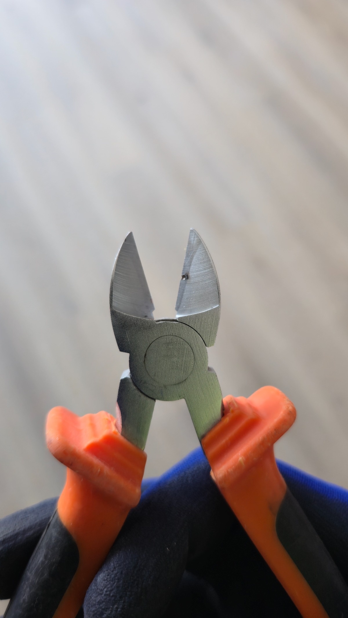 88e8bcf8-0f69-4c45-abbf-d1d069acf8f8