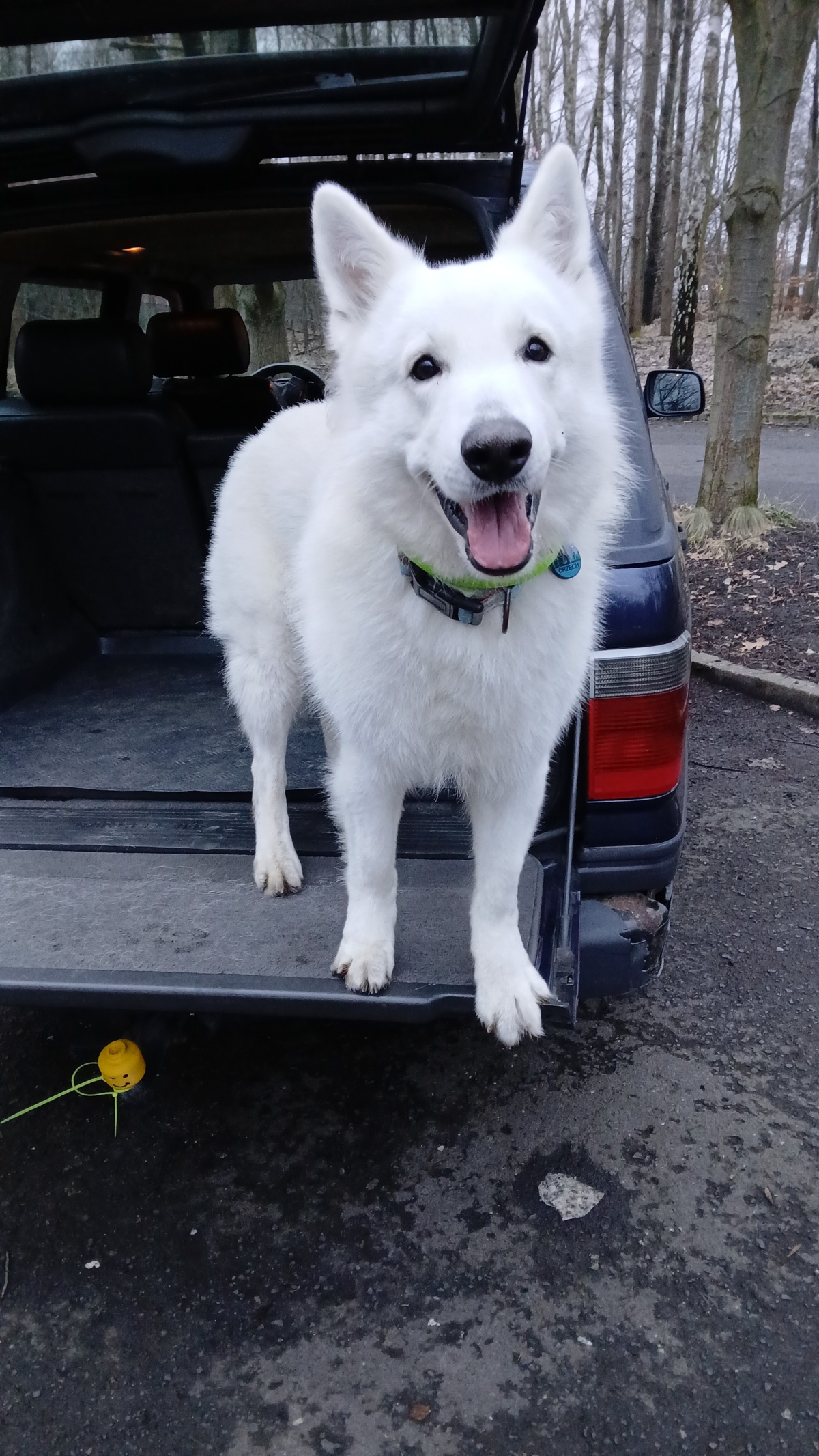 4ddf2013-1991-4ae0-b755-9922f206b27f