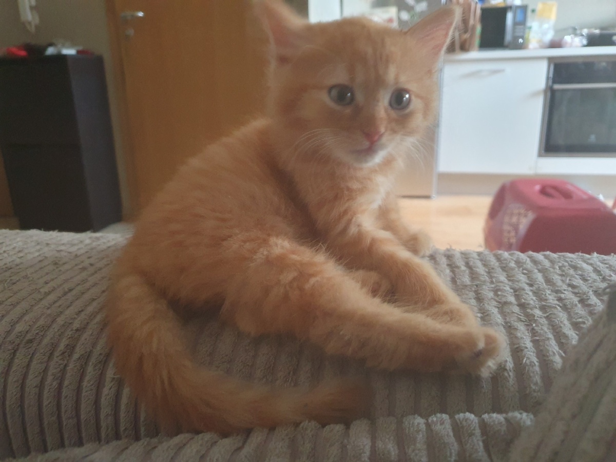 ef3ffef5-590d-4980-a490-f08db4104d1f