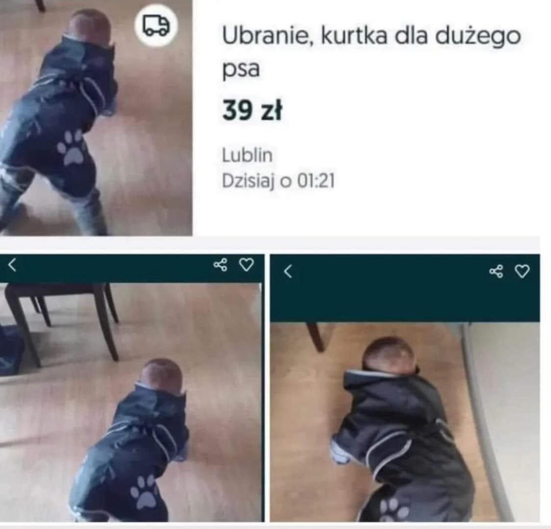 45098788-f5ff-4b17-b728-91e97bfa823b